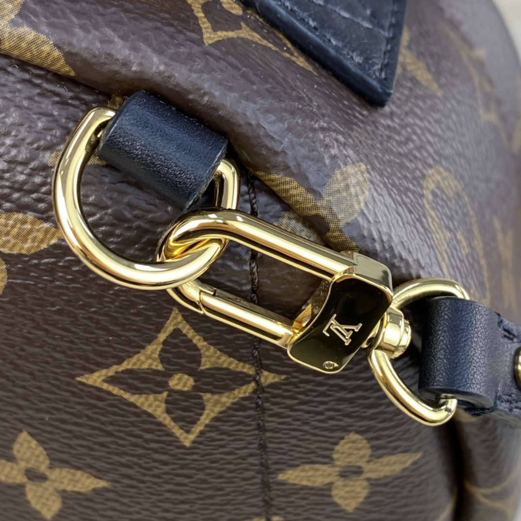 Louis Vuitton PALM SPRINGS PM Backpack Monogram M44871